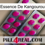 Kangaroo Essence 10